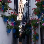 Puente Miraflores Terraza דירה