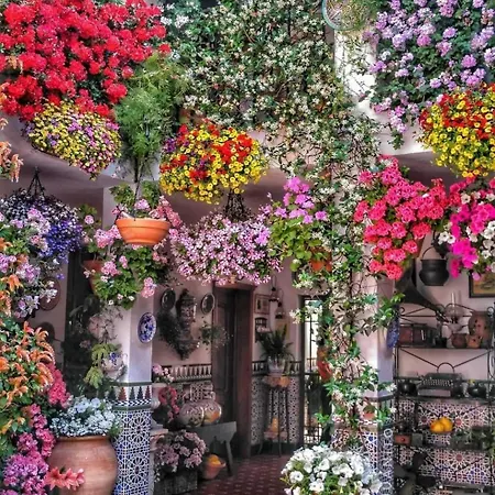 Puente Miraflores Terraza 公寓